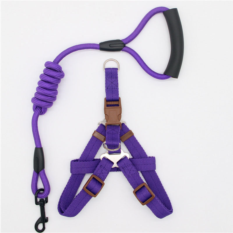 Pet Collars & Harnesses