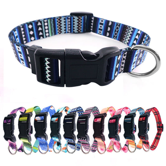 Pet Collars & Harnesses