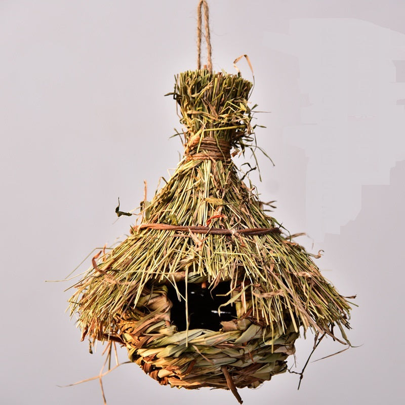 Pet Bird's Nest