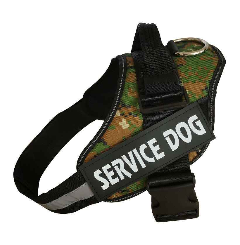 Pet Collars & Harnesses