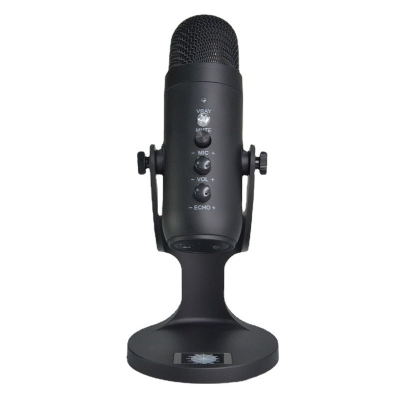 Professional  Microphone