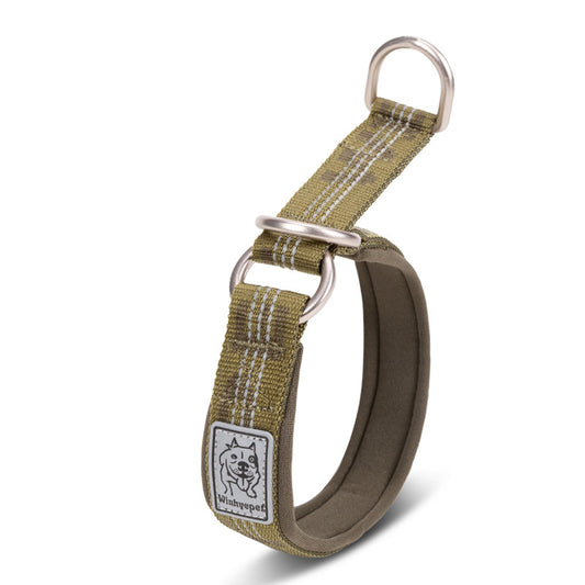 Pet Collars & Harnesses