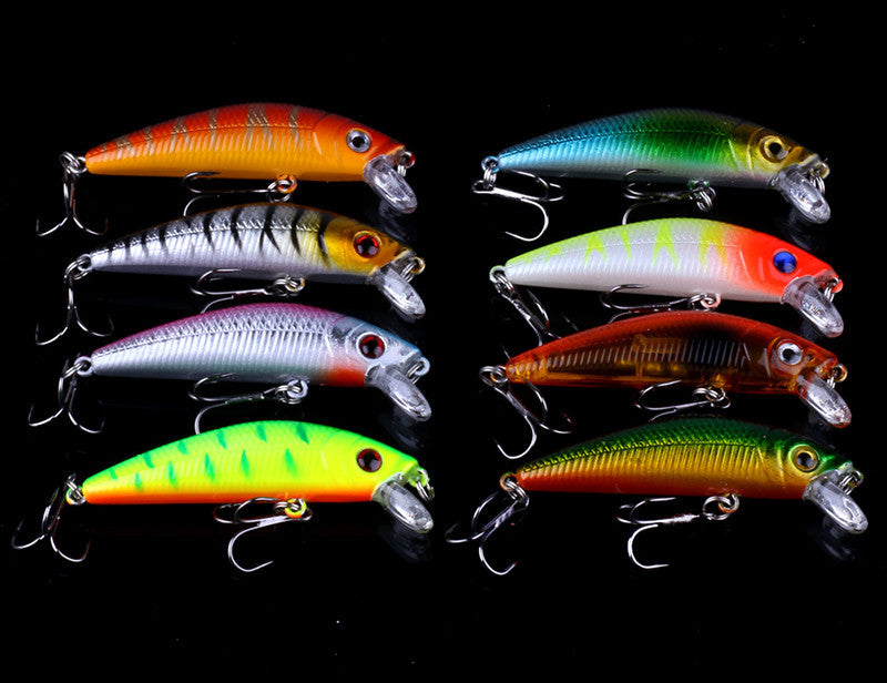 Fishing Baits & Lures