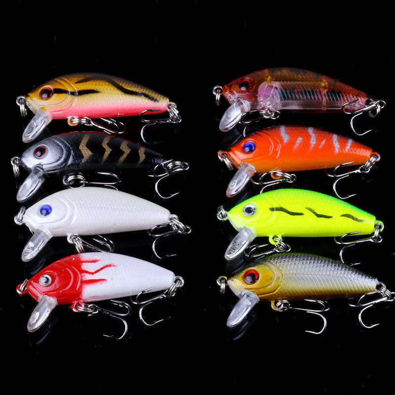 Fishing Baits & Lures