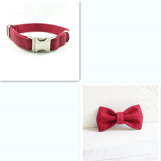 Pet Collars & Harnesses