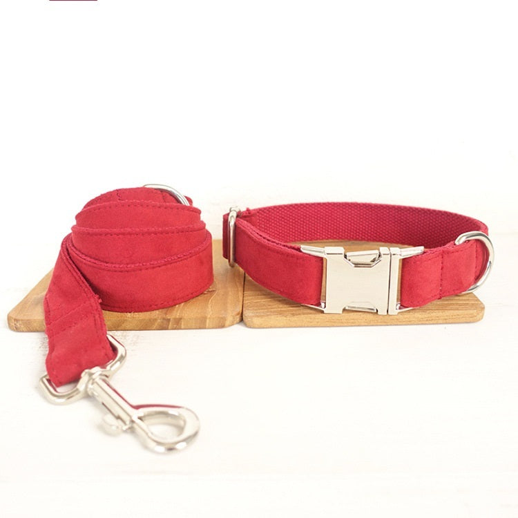 Pet Collars & Harnesses