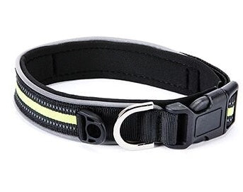 Luminous Neoprene Collars