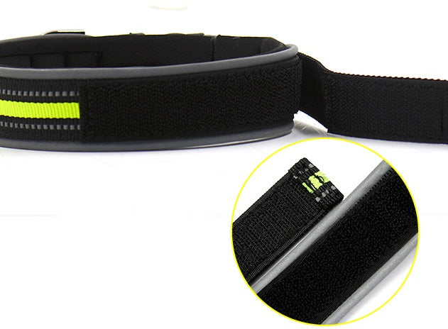 Luminous Neoprene Collars