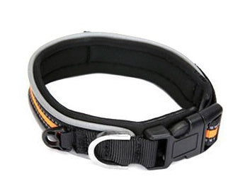 Luminous Neoprene Collars