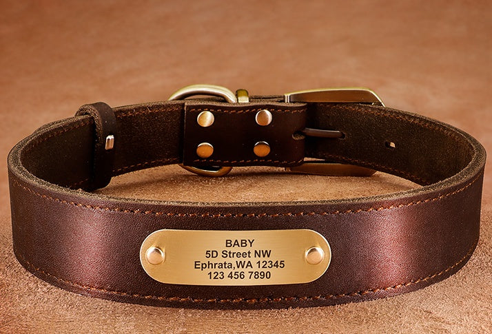 Personalized Dog Collars