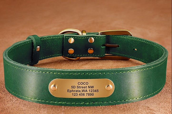 Personalized Dog Collars