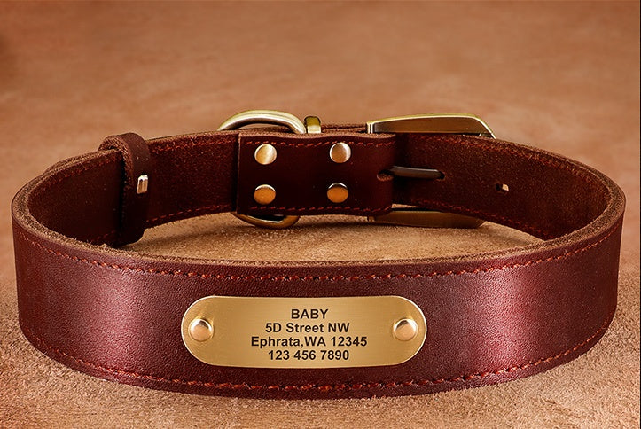 Personalized Dog Collars