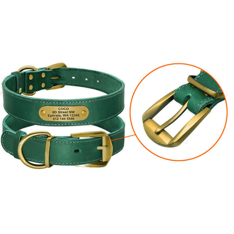 Pet Collars & Harnesses