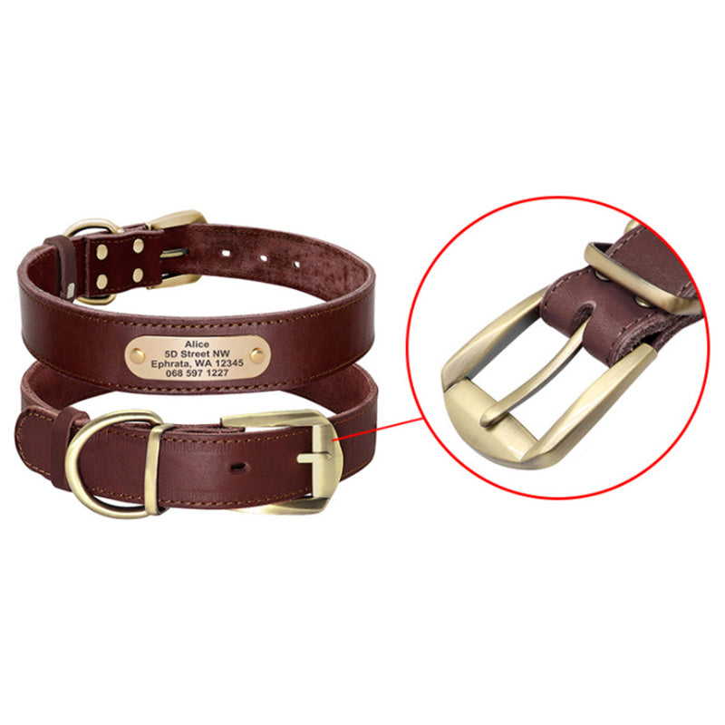 Personalized Dog Collars