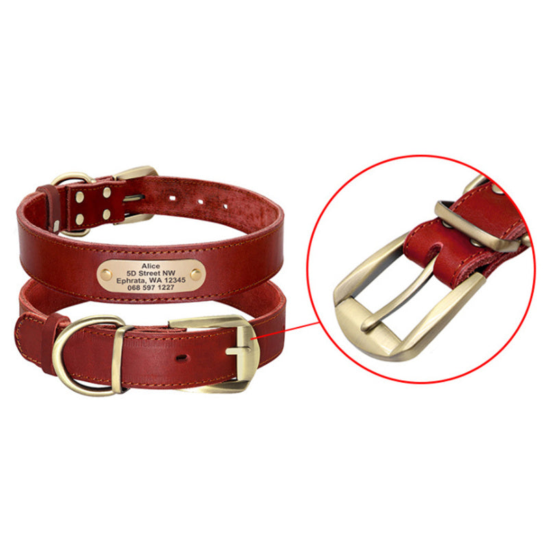 Personalized Dog Collars