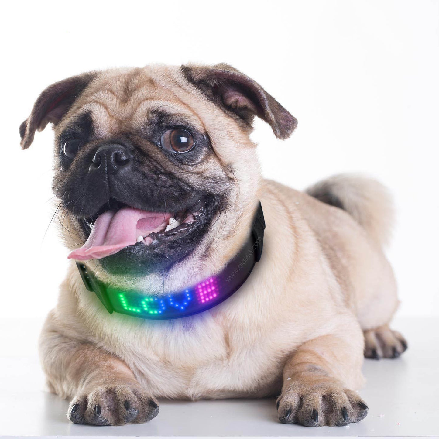 LED Bluetooth USB Charging Pet Collar