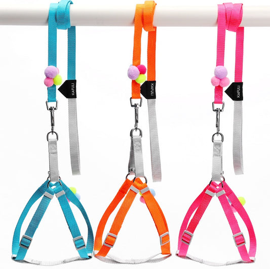 Pet Collars & Harnesses