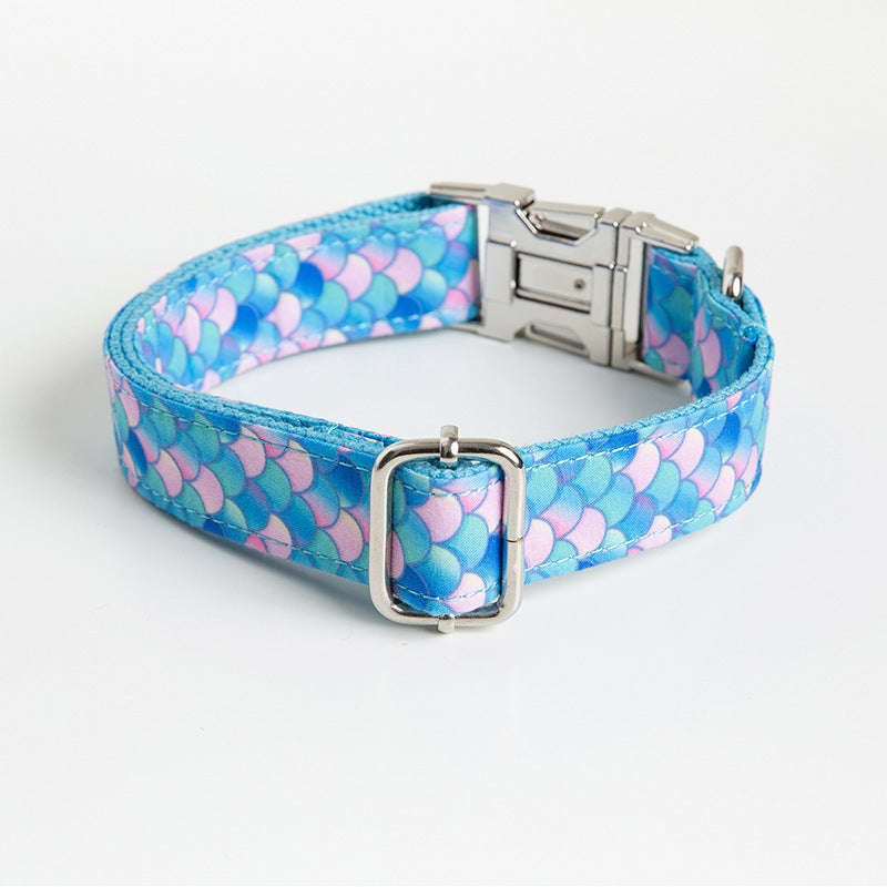 Pet Collars & Harnesses