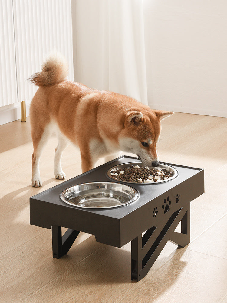 Pet Bowls, Feeders & Waterers