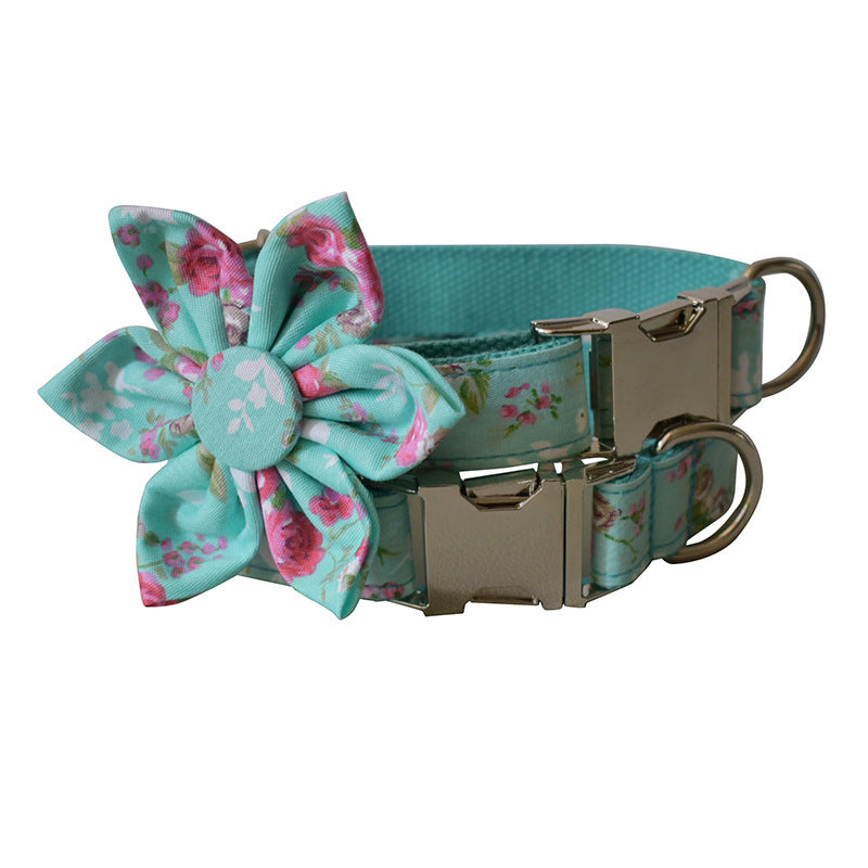 Pet Collars & Harnesses