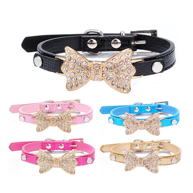 Pet Collars & Harnesses