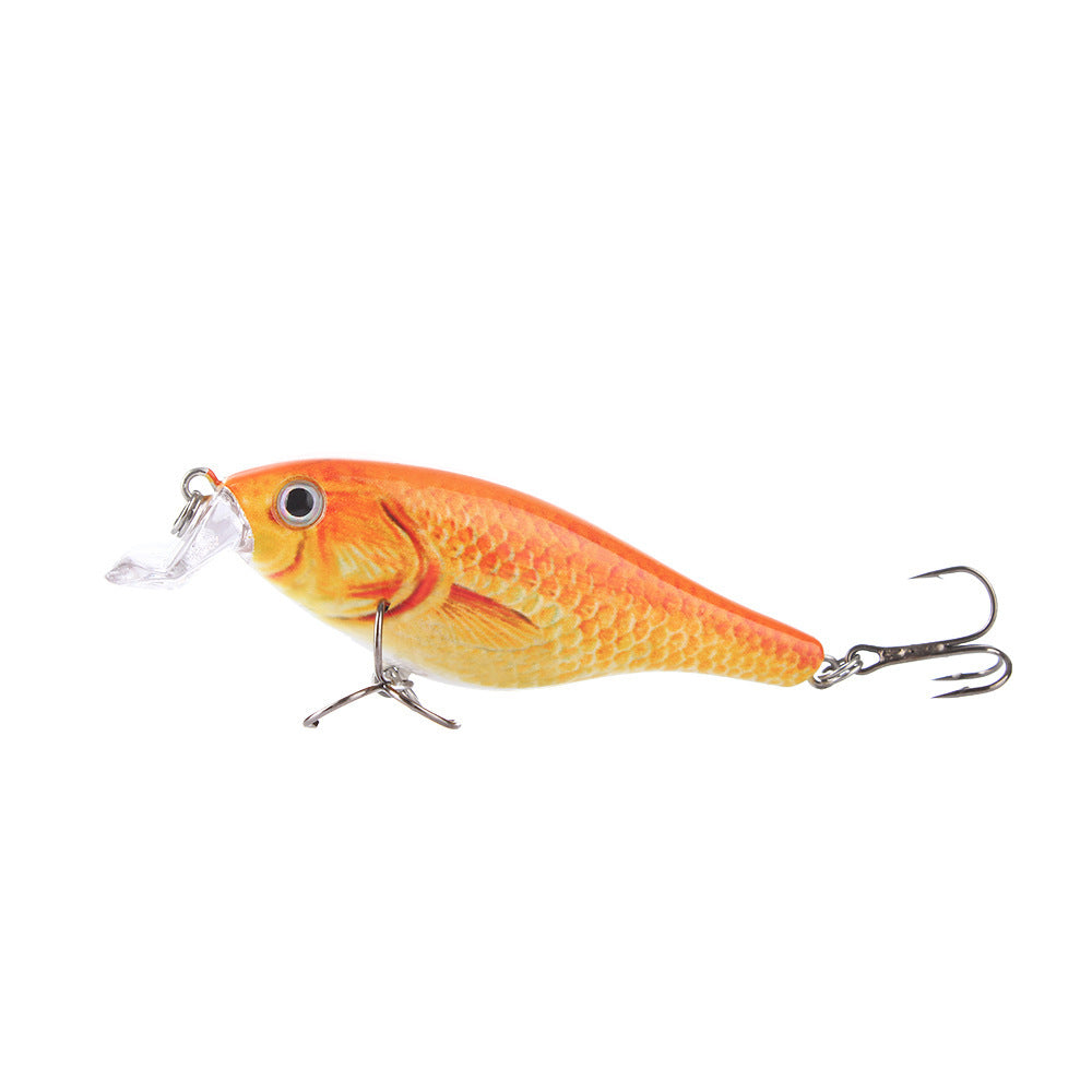 Fishing Baits & Lures