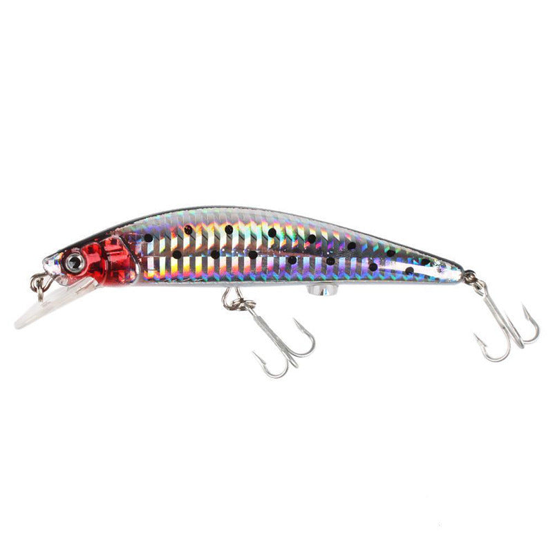 Fishing Baits & Lures