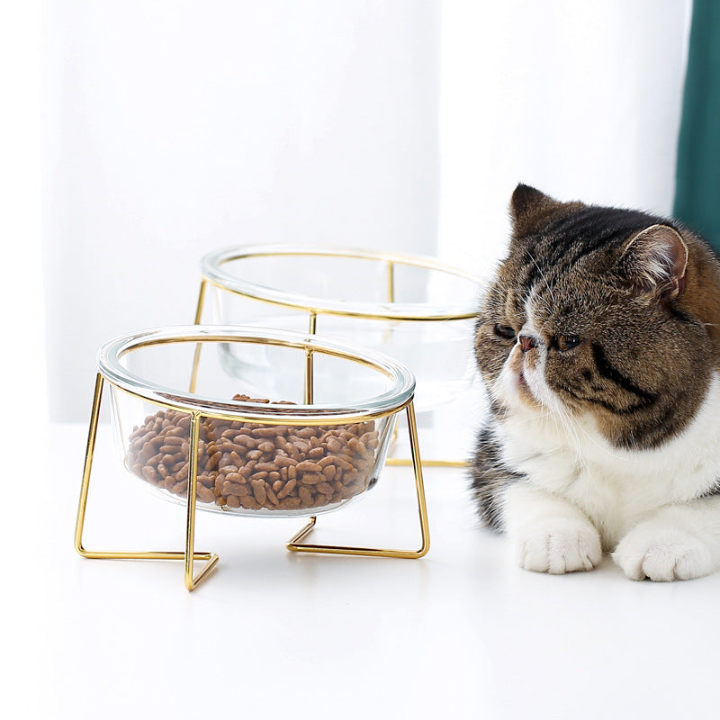 Tilt glass pet bowl