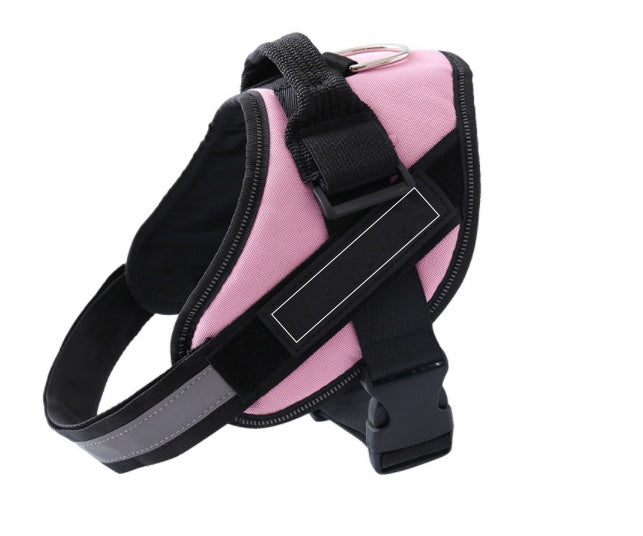 Pet Collars & Harnesses