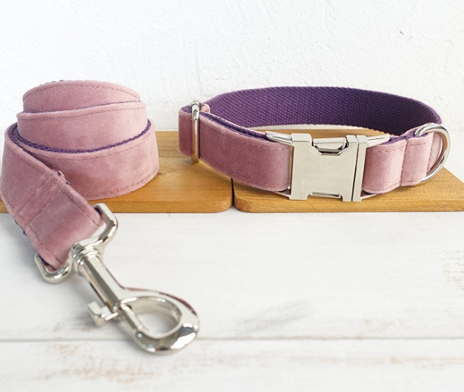 Pet Collars & Harnesses