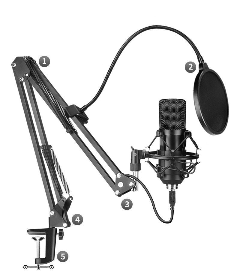 Microphone