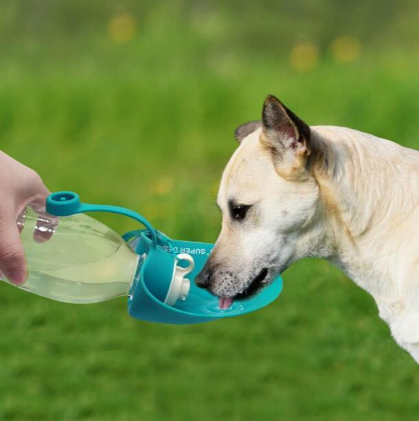 Dog Water Bottle