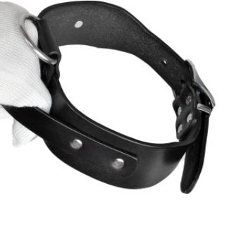 adjustable pet collar