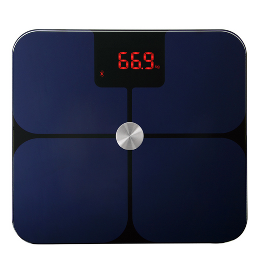 Intelligent electronic scale human scale