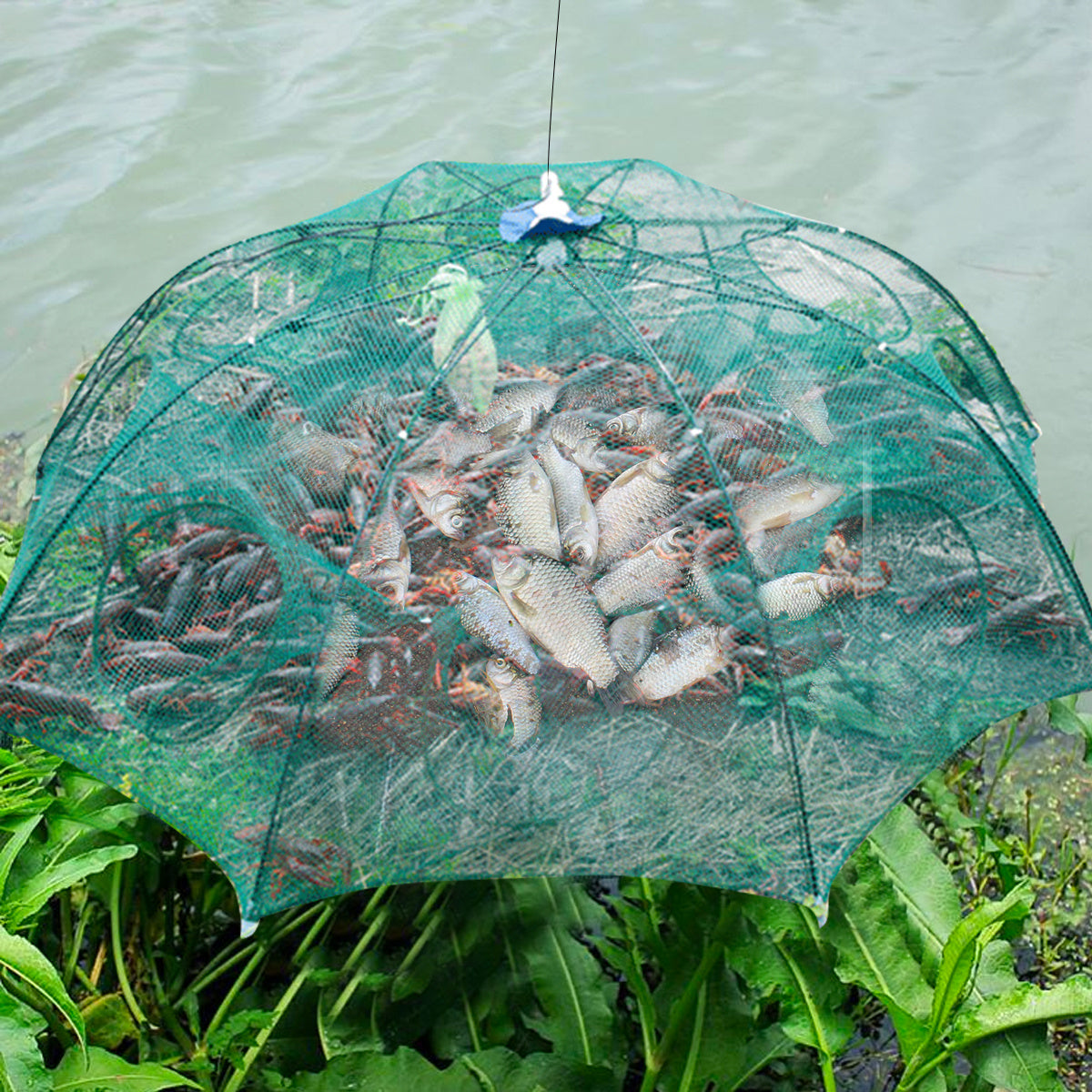 Fishing Traps