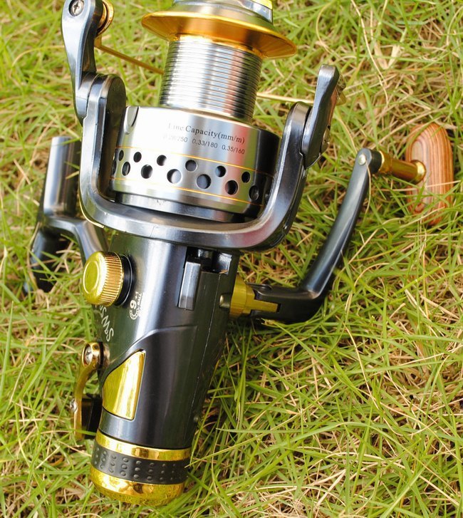 SW50 60 fishing reel