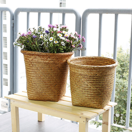 Pots & Planters