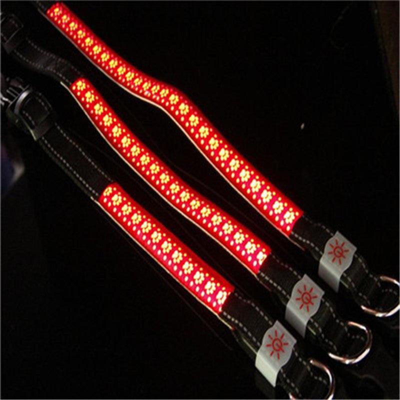 LED light collar