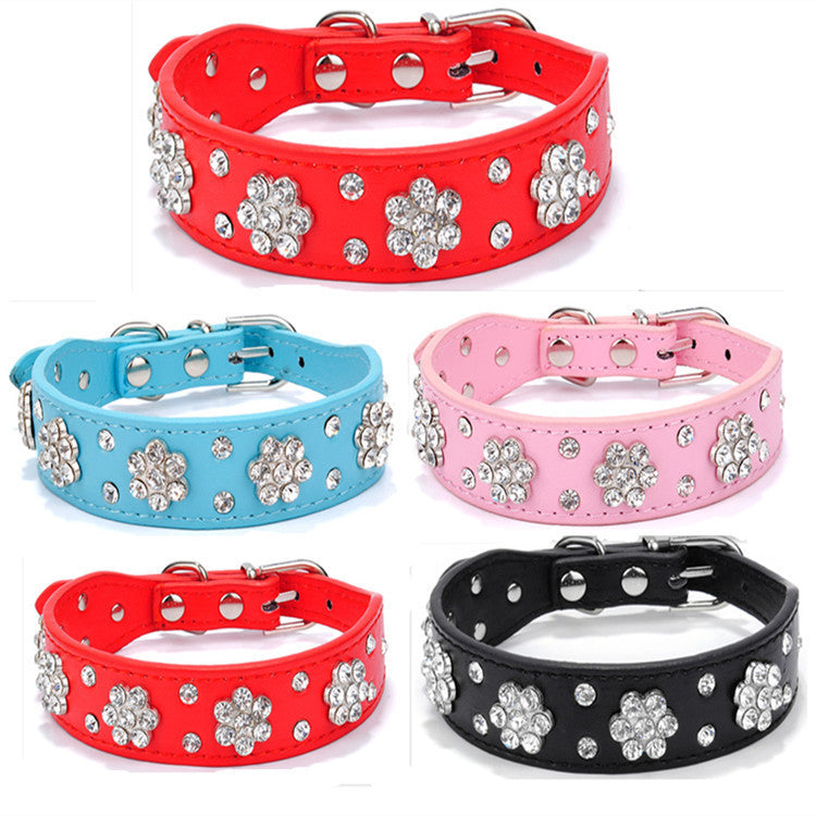 Pet Collars & Harnesses