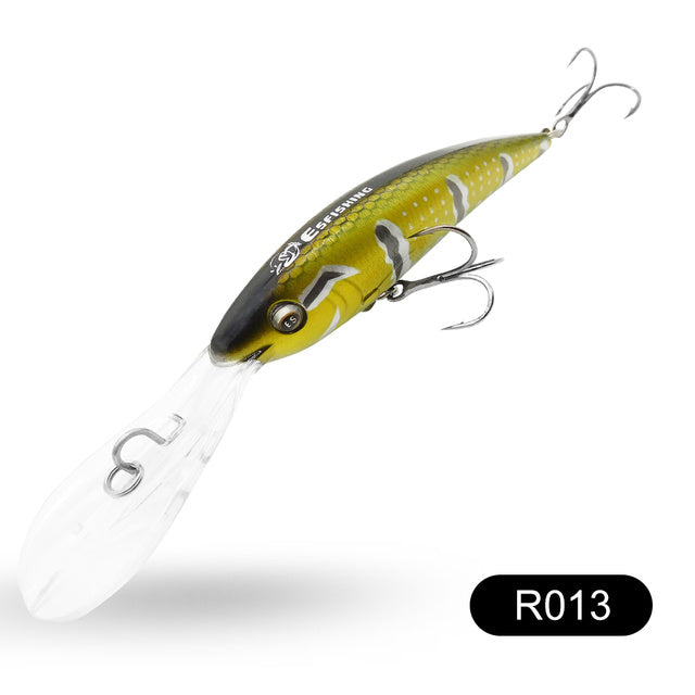 Fishing Baits & Lures 