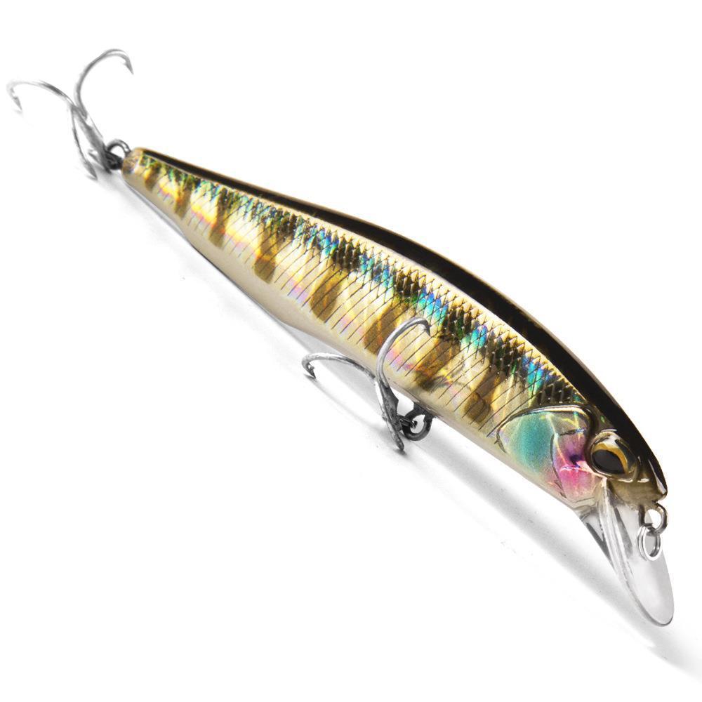 Fishing Baits & Lures