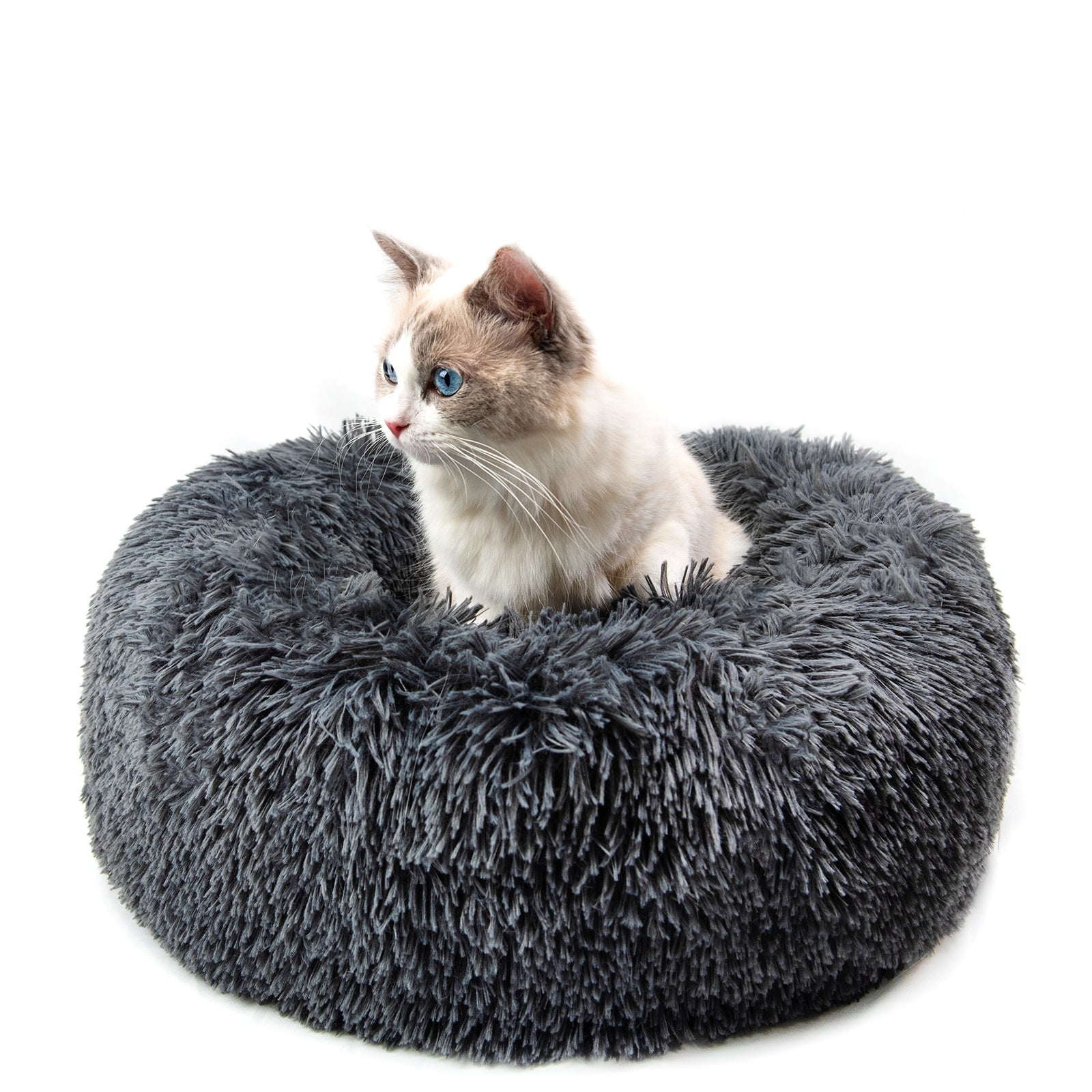 Cat Beds