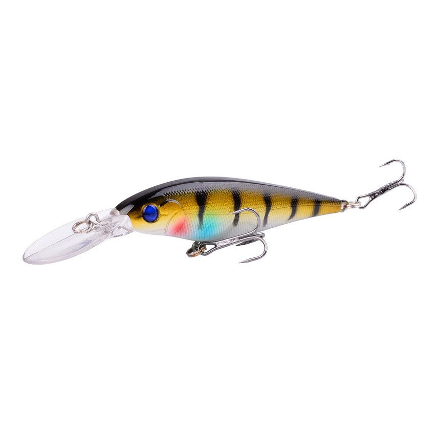 Fishing Baits & Lures