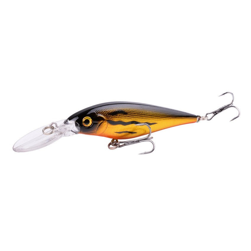 Fishing Baits & Lures