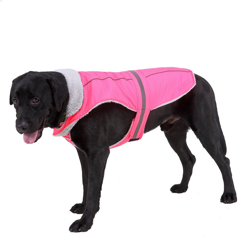 night reflective pet clothes