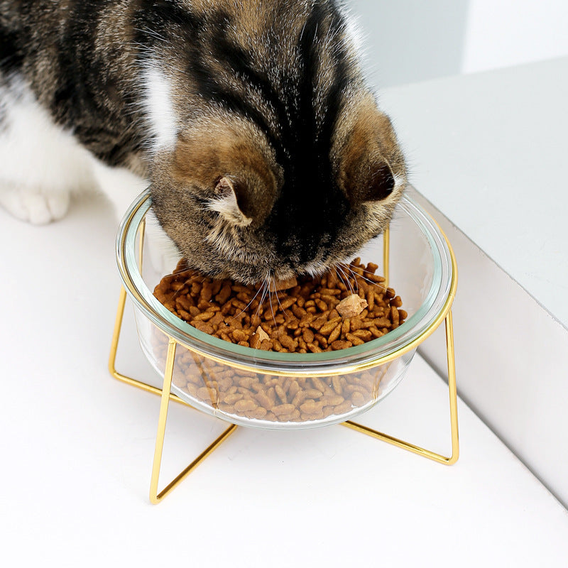 Tilt glass pet bowl