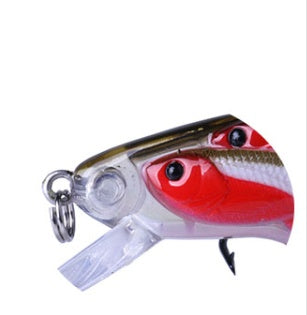 Fishing Baits & Lures 