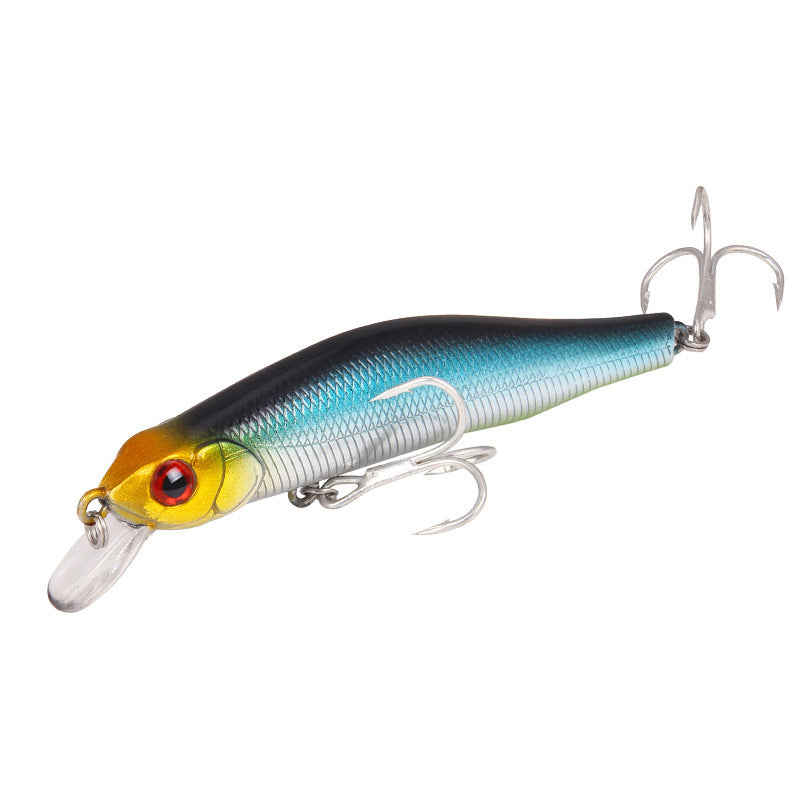 Fishing Baits & Lures 