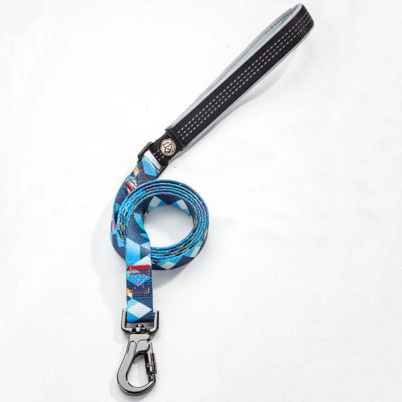 Pet leash collar