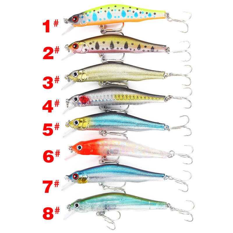 Fishing Baits & Lures 